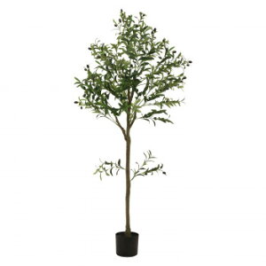 sfՁ@iC/D:41121j tFCNO[ I[u 150cm WCg Ƌ/[ Ƌ@bN@̑