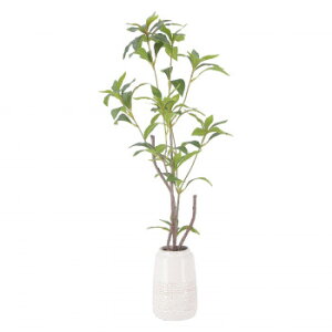 不二貿易 (C/D:41133) フェイクグリーン ギンモクセイ セラミックポット 家具/収納 家具 ラック その他