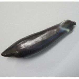 {El HiTv Ȃ IP-249 CeA uE|v