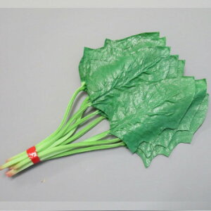 {El HiTv ق IP-250 CeA uE|v