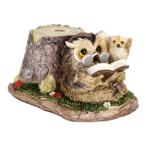 IuWF IE eq KLXC-0012 CeA uE|v