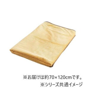 �Ђ��|�� �t�����l�� �N���� 70×120cm �C�G���[ 1195640290810 �Q�� �Q���E�Q��