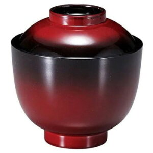 Ntg@P׏zo ڂ 31005873 Ǝpi H