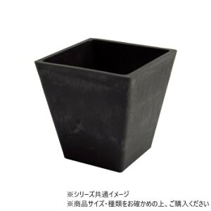 SKXNGA|bg ubN 15.5×H15.5@3d00020BK K[fjOEDIYEhE K[fjOEԁEAEDIY