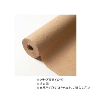 OO uE 75×20m@4582259911505 K[fjOEDIYEhE K[fjOEԁEAEDIY