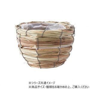 グラス丸ナチュラル SS 7200109 ガーデニング・DIY・防殺虫 ガーデニング・花・植物・DIY