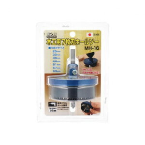 HH@؍Hp7nz[\[@MH-16@625939 K[fjOEDIYEhE K[fjOEԁEAEDIY