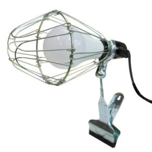 TRAD@NbvLED[NCg@100`@CLW-14W@316353 K[fjOEDIYEhE K[fjOEԁEAEDIY