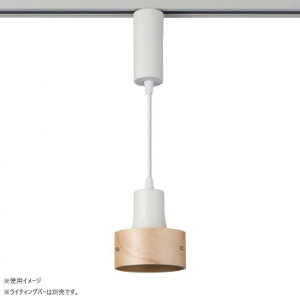 LEDCeBOo[pCg LRS-PW01L(IV) CeA Ɩ