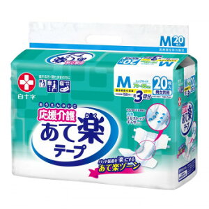  e[v~߃^Cv M 20(A3) 843435 xr[/Vo[ pi