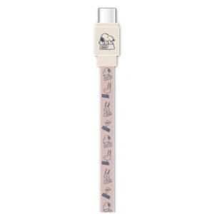 s[ibc PD60WΉ USB2.0 Type-CP[u sN SNGG-44PK p\REAV@֘A PCEgъ֘A