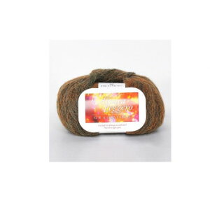 n}iJ b`A ApJWF[iOf[Vj No.113 3848113 ̑CtObYij |ENtgEn