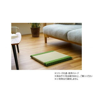 ���D GN 40×40cm 1122950127301 �C���e���A ���̑��C���e���A