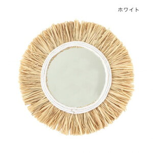 tBA~[ zCg 36524823022 Ƌ/[ Ƌ@bN@̑