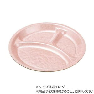 iH@Ήj270ۃv[g@sNANA(h)@51354800 Ǝpi pi