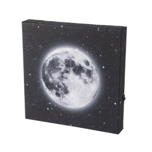 LEDLoXA[g  500-101 CeA ̑CeA