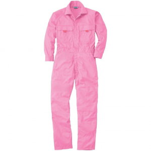 Ka 9800 Ȃ MTCY sN(44) SOWA K[fjOEDIYEhE K[fjOEԁEAEDIY