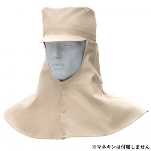 Ka 10016 nږXq MTCY x[W(3) SOWA Ap@Y Yȋj