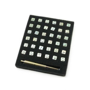 GKgpZbg 36{ PI8134-00 ̑CtObYij |ENtgEn