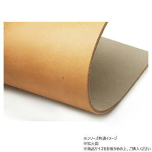 唻؂v O[WOxY i` 1 Pkawa041-01-2/1-50 ̑CtObYij |ENtgEn