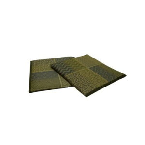 �G�� ��D �������z�c �O���[�� 2���g 55x55cm TSN340993 �C���e���A ���̑��C���e���A