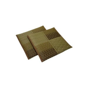 �G�� ��D �������z�c �x�[�W�� 2���g 55x55cm TSN341006 �C���e���A ���̑��C���e���A