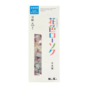 { ԐF[\N  110{ 95601 ̑CtObYij 