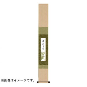 �Z���| �j�q�Z���|�E�� 15.5×125cm WKA-002 �C���e���A ���̑��C���e���A