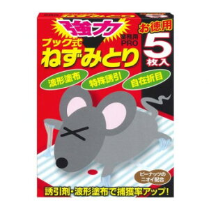 ubN ˂݂Ƃ5 238011 NObY qpi