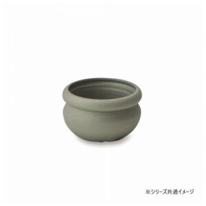 �u���[�^�|�b�g �S�[���h 64082 �K�[�f�j���O�EDIY�E�h�E�� �K�[�f�j���O�E�ԁE�A���EDIY