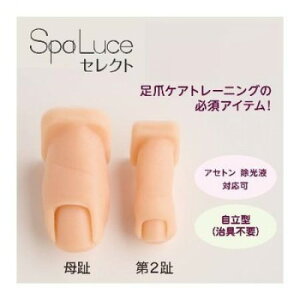 SpaLuce Xp[`FZNg g[jOуZbgi+2j SPS-01 ϕi nhPA