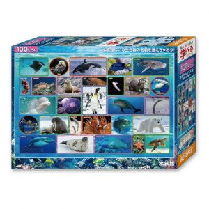 ro[ WO\[pY  100s[X 100-042 Eߋ mߋ