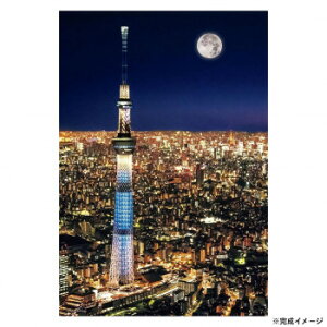 ビバリー 風景日本ジグソーパズル 東京スカイツリー ナイトビュー 300ピース 93-146 文具・玩具 知育玩具