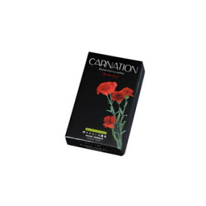 쐰 J-l-V() oiԁj ̑CtObYij ObYEA}֘A