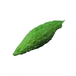 {El HiTv}Olbg ~j`AS[ IP-337 Eߋ 