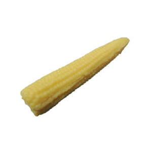 {El HiTv}Olbg OR[ IP-348 Eߋ 