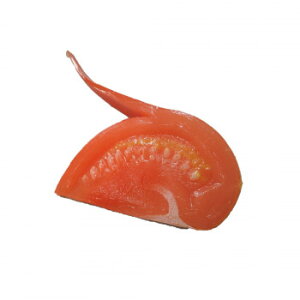 {El HiTv}Olbg g}g IP-308 Eߋ 