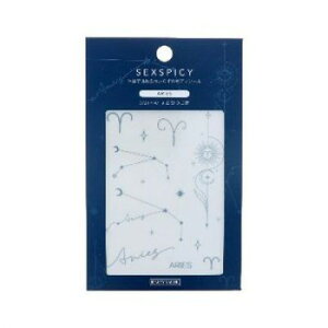 BEAUTY NAILER {fBV[ SEXPICY ZNXpCV[ARIES Ђ SST-13 ϕi CNAbvEERXBOX