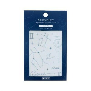 BEAUTY NAILER {fBV[ SEXPICY ZNXpCV[GEMINI ӂ SST-15 ϕi CNAbvEERXBOX