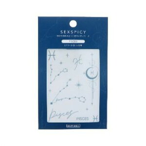 BEAUTY NAILER {fBV[ SEXPICY ZNXpCV[PISCES  SST-24 ϕi CNAbvEERXBOX