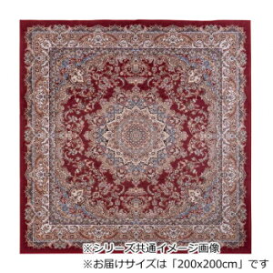 �G���f�B�A �]�ʃv�����g �J�[�y�b�g ���b�h 2���p 200x200cm ELDIA200RE �C���e���A �~���E�J�[�e��