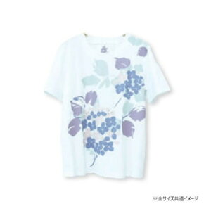 낿 kurofune TVczԓa  F 32412332 Ap@fB[X fB[XigbvXjI[V[Y