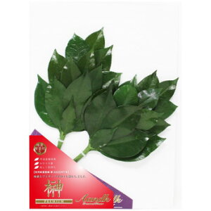 AK {vU[uh v~A OgY֗tgp STCY({[^Cv) C-004SV ̑CtObYij 