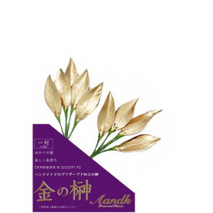 AK {vU[uh ̍(ɏ) gSK-004 ̑CtObYij 