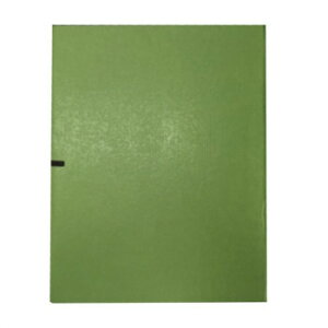 yX΂ ̎q EFA21-3 Eߋ 