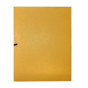 yX΂ ̎q hqEFA21-4 Eߋ 