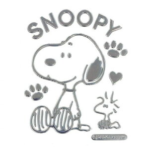 O GuXebJ[ Xk[s[  SN3253 X|[cEAEghA J[E]