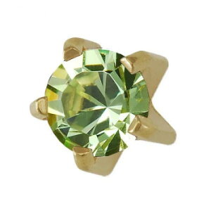 JPS セイフティピアッサー 耳用ロングタイプ シャンパンゴールド(純チタン処理医療用ステンレス) 8月 7M108ZL 時計/ジュエリー/アクセサリ その他