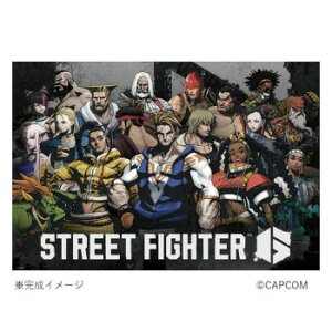 ビバリー ジグソーパズル ストリートファイター6(2) 1000ピース 1000-116 文具・玩具 知育玩具