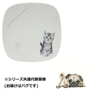 わんコレ スクエアプレート(大) パグ wa-psql-S7 家事用品 食器